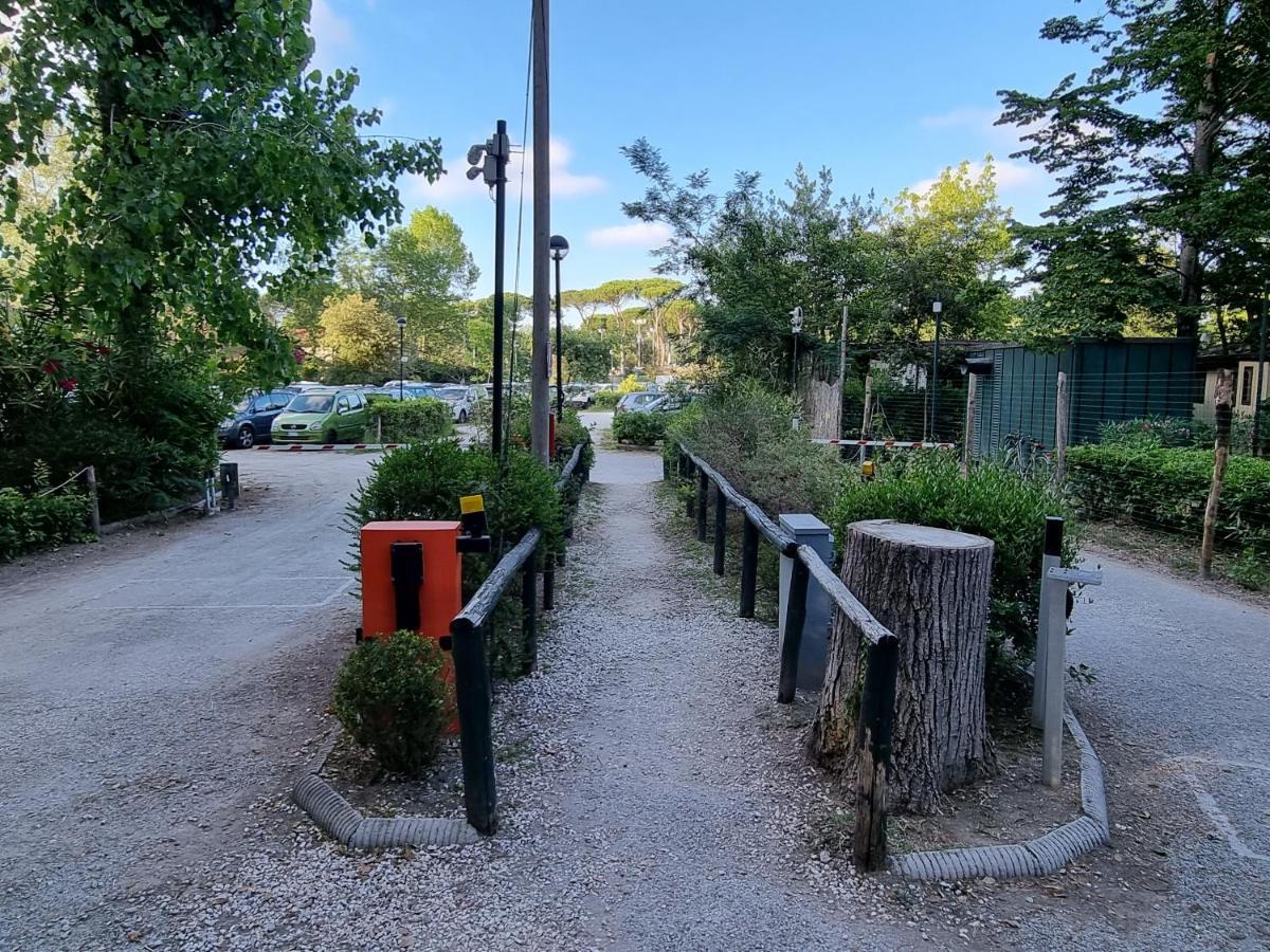 Chalet 4 Or 6 Persons Toscana Viareggio Camping Bosco Verde Italie Torre del Lago Puccini Εξωτερικό φωτογραφία