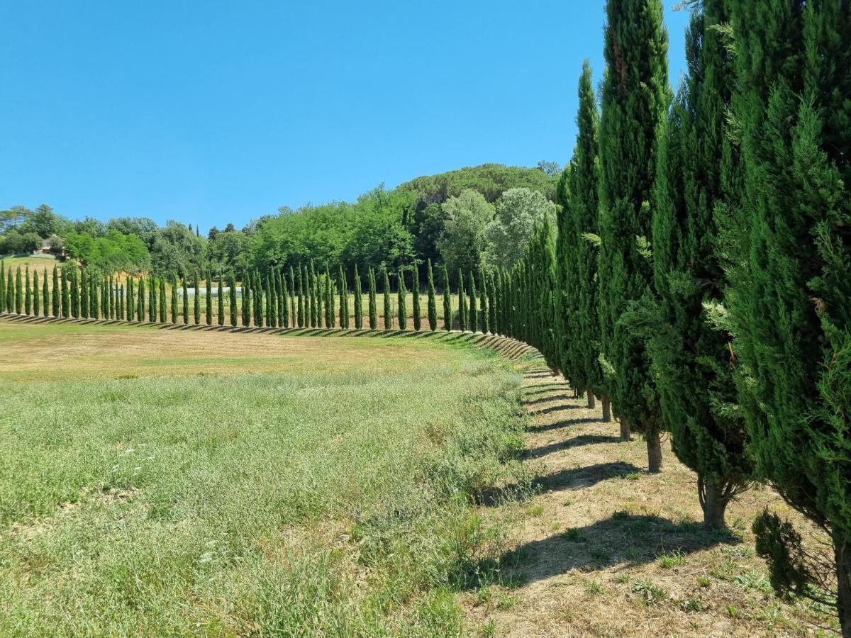 Chalet 4 Or 6 Persons Toscana Viareggio Camping Bosco Verde Italie Torre del Lago Puccini Εξωτερικό φωτογραφία